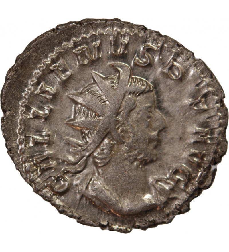 GALLIEN - ANTONINIEN 256 / 260 COLOGNE