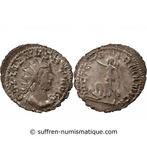 GALLIEN - ANTONINIEN 256 / 260 COLOGNE