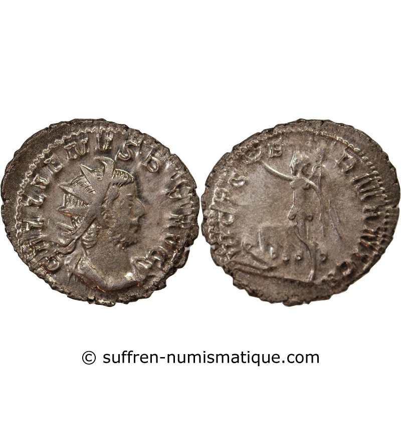 GALLIEN - ANTONINIEN 256 / 260 COLOGNE