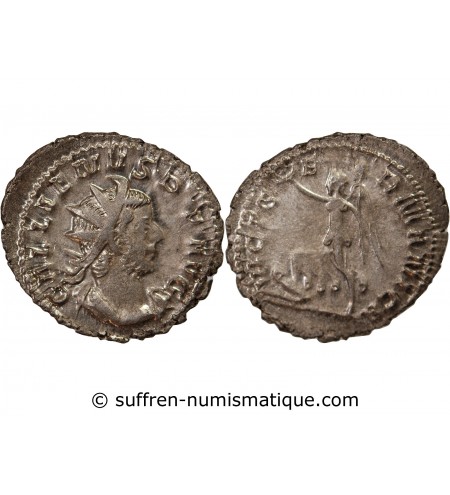 GALLIEN - ANTONINIEN 256 / 260 COLOGNE