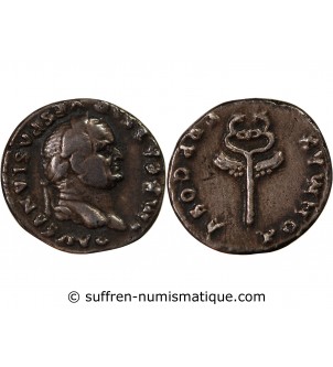 VESPASIEN - DENIER ARGENT 73 ROME
