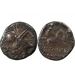 SPURILIA - DENIER ARGENT 139 AV JC ROME 2