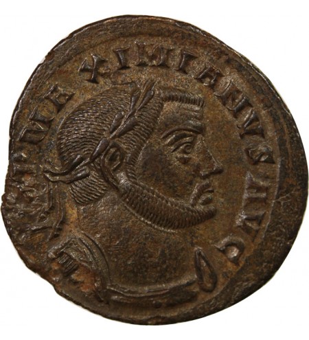 MAXIMIEN HERCULE - FOLLIS 300 / 304 LYON