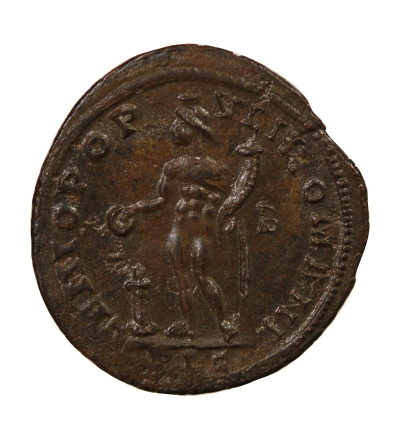MAXIMIEN HERCULE - FOLLIS 300 / 304 LYON