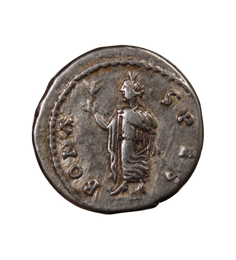 SEPTIME SEVERE - DENIER ARGENT 194 EMESE