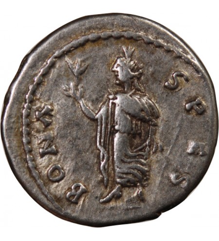 SEPTIME SEVERE - DENIER ARGENT 194 EMESE