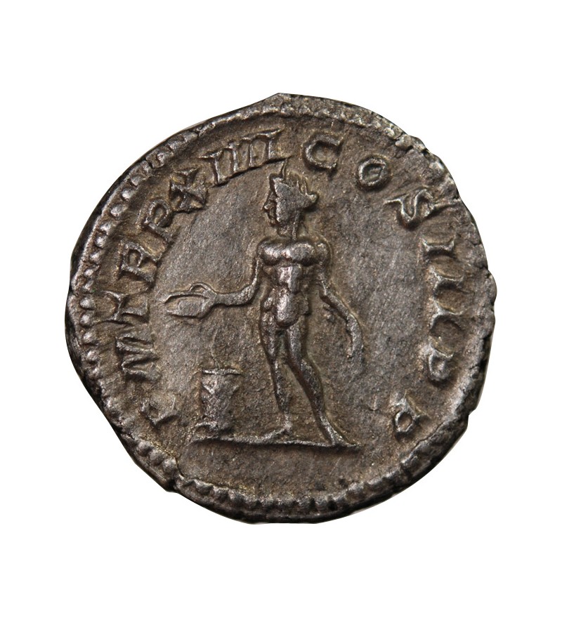 SEPTIME SEVERE - DENIER ARGENT 206 ROME