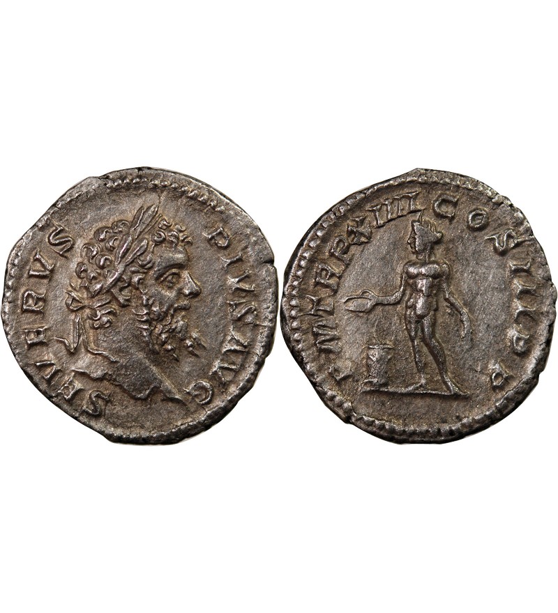 SEPTIME SEVERE - DENIER ARGENT 206 ROME