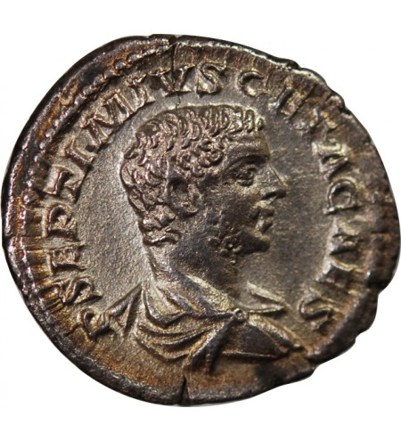 GETA - DENIER ARGENT 208 ROME