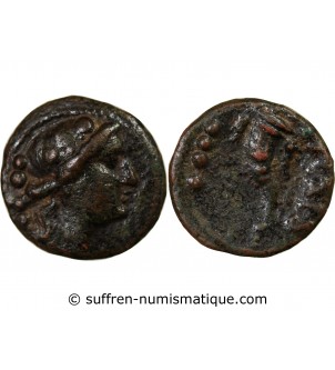 LUCANIE, PAESTUM - TRIENS 218 / 201 AV JC