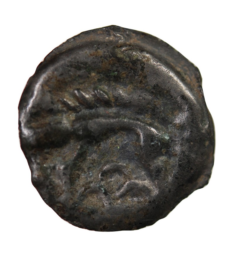 HAUTE ET MOYENNE SEINE - POTIN À LA TÊTE CHAUVE 75 / 50 AV JC