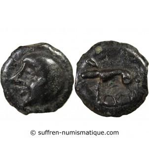 HAUTE ET MOYENNE SEINE - POTIN À LA TÊTE CHAUVE 75 / 50 AV JC