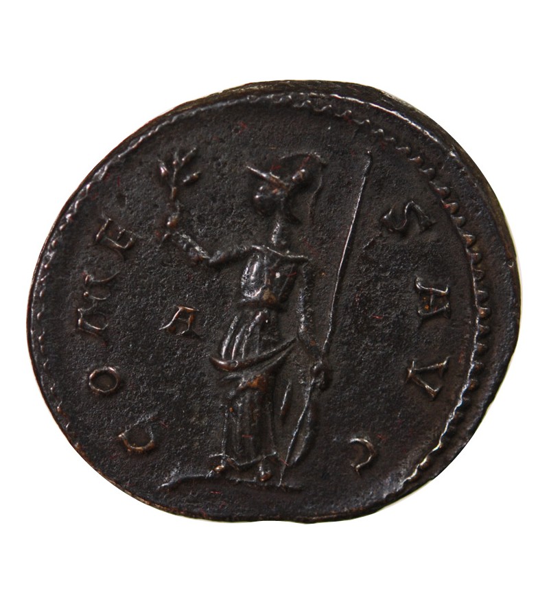 PROBUS - ANTONINIEN 282 LYON