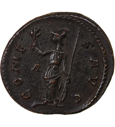 PROBUS - ANTONINIEN 282 LYON