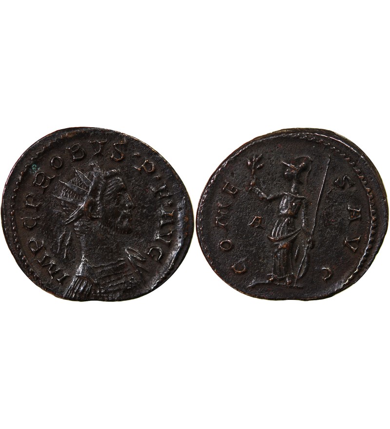 PROBUS - ANTONINIEN 282 LYON