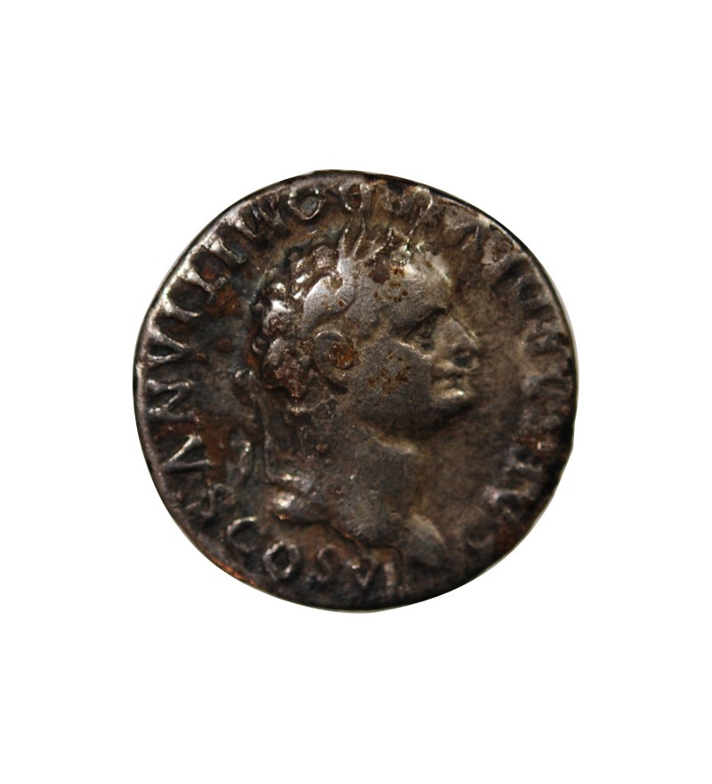 DOMITIEN - DENIER ARGENT 80 ROME