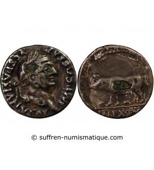VESPASIEN - DENIER FOURRÉ 78 ROME