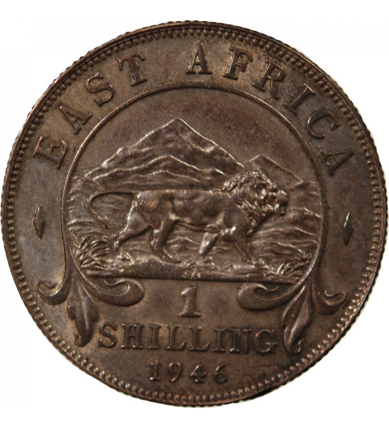 AFRIQUE ORIENTALE BRITANNIQUE, GEORGES VI - 1 SHILLING 1946
