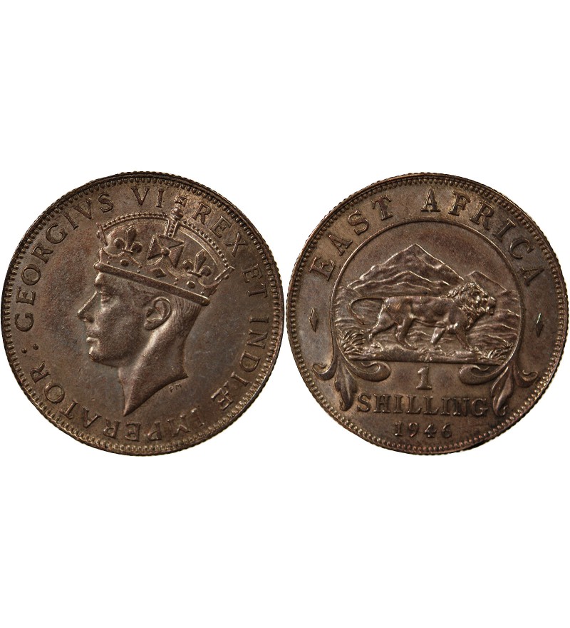 AFRIQUE ORIENTALE BRITANNIQUE, GEORGES VI - 1 SHILLING 1946