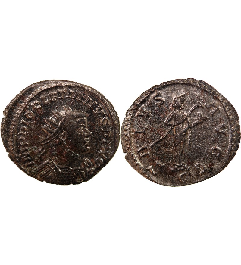 DIOCLETIEN - ANTONINIEN 290 / 291 LYON