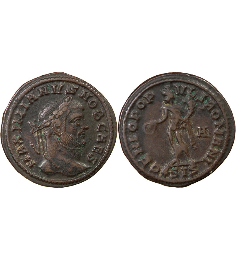 GALERE - FOLLIS 295 SISCIA