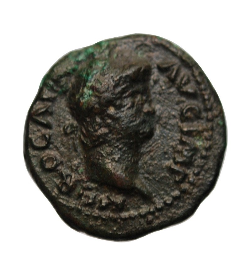 NERON - SEMIS BRONZE