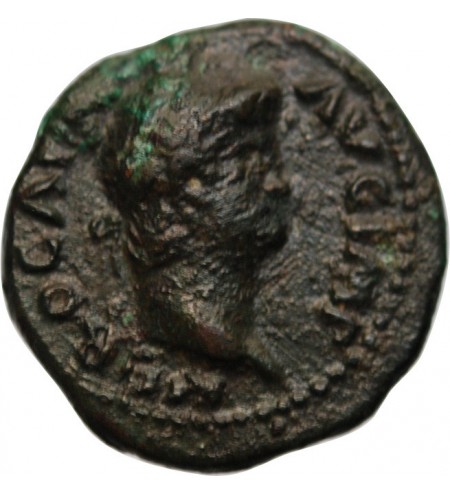 NERON - SEMIS BRONZE