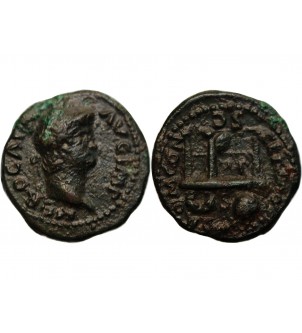 NERON - SEMIS BRONZE 2