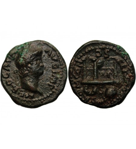 NERON - SEMIS BRONZE