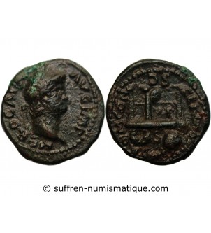 NERON - SEMIS BRONZE