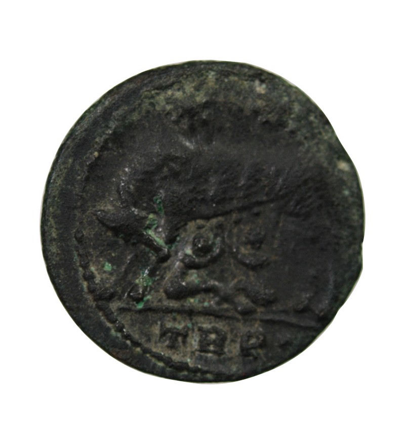 VRBS ROMA - NUMMUS 330 / 333 TREVES