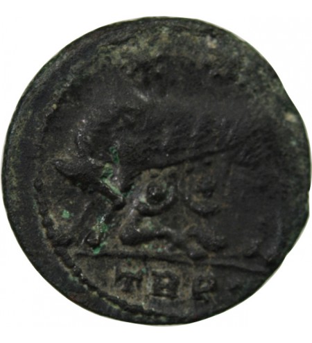 VRBS ROMA - NUMMUS 330 / 333 TREVES