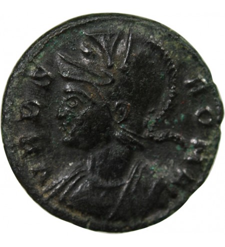 VRBS ROMA - NUMMUS 330 / 333 TREVES