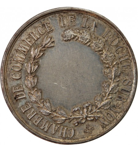 VILLE DE LA ROCHE-SUR-YON - MÉDAILLE CUIVRE ARGENTÉ Poinçon Corne (après 1879)