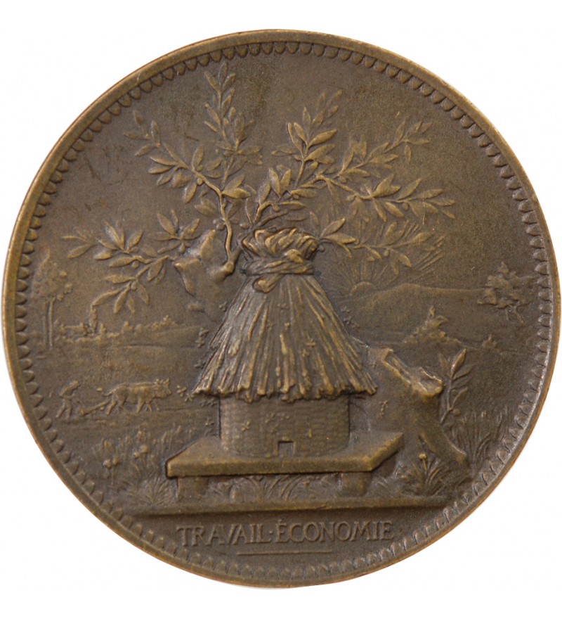 CAISSE D'EPARGNE DE PARIS - JETON BRONZE 1894