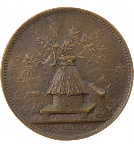 CAISSE D'EPARGNE DE PARIS - JETON BRONZE 1894