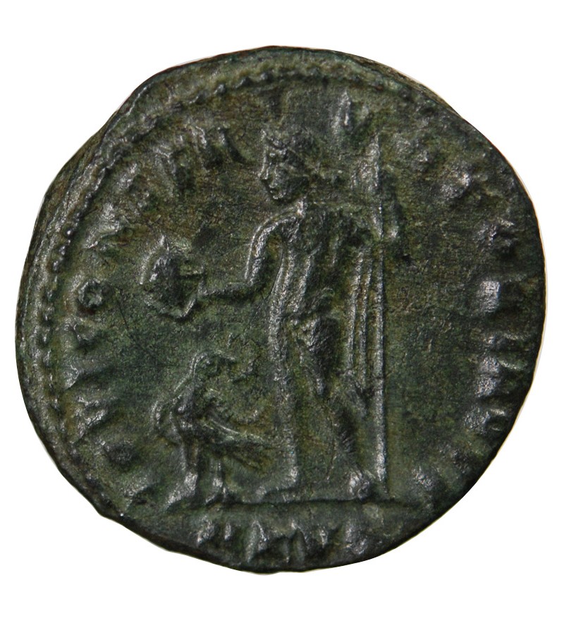 MAXIMIN II DAIA - NUMMUS 311 CYZIQUE