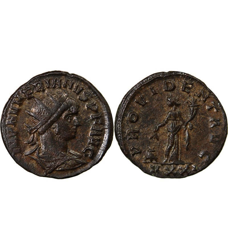 NUMERIEN - ANTONINIEN 283 / 284 TICINUM