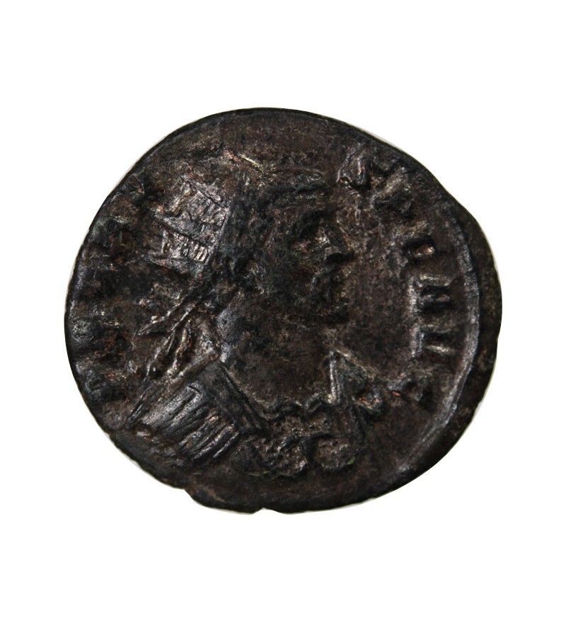 PROBUS - ANTONINIEN 281 ROME