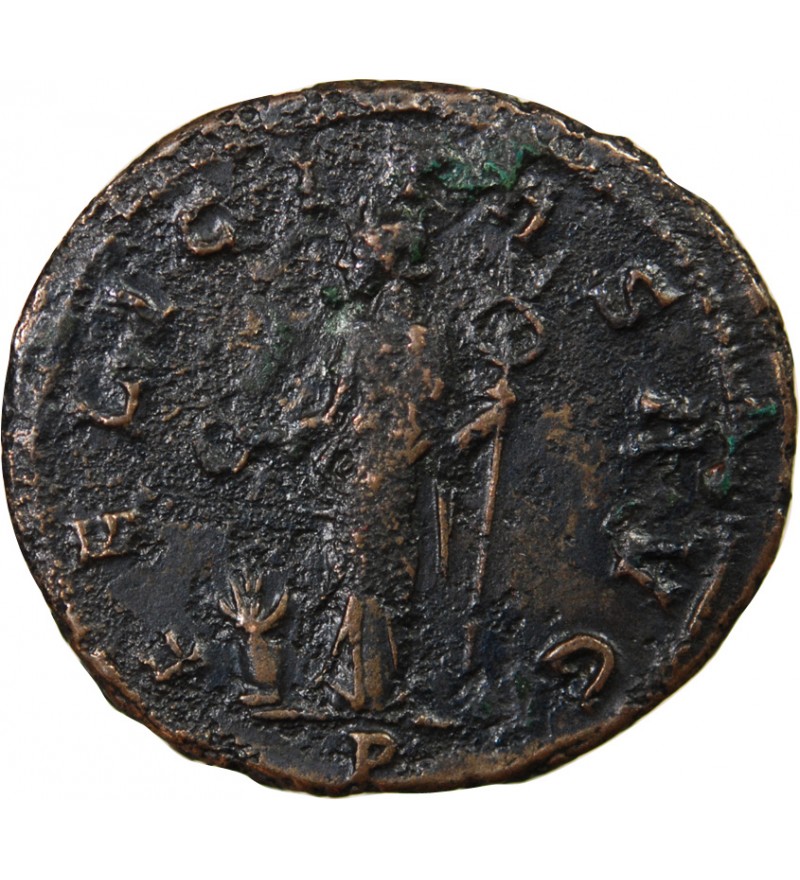 FLORIEN - ANTONINIEN 276 SISCIA