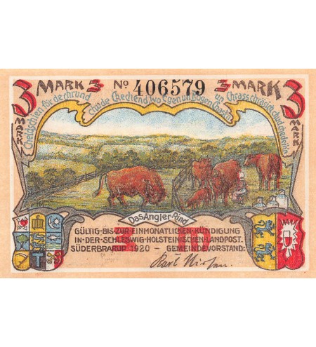 ALLEMAGNE, THORSBERG MOOR - 3 MARK 1920