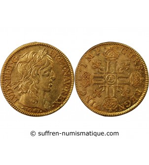 LOUIS XIII - LOUIS D'OR A LA MECHE LONGUE 1641 A PARIS R2