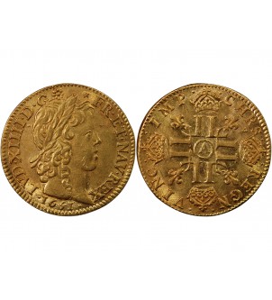 LOUIS XIV - LOUIS D'OR A LA MECHE LONGUE 1651 A PARIS 2