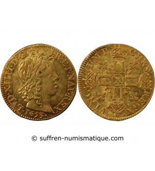 LOUIS XIV - LOUIS D'OR A LA MÈCHE LONGUE 1653 X AMIENS