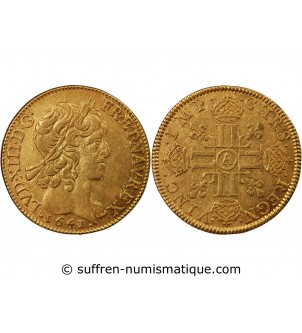 LOUIS XIII - LOUIS D'OR A LA MECHE COURTE 1641 A PARIS R3