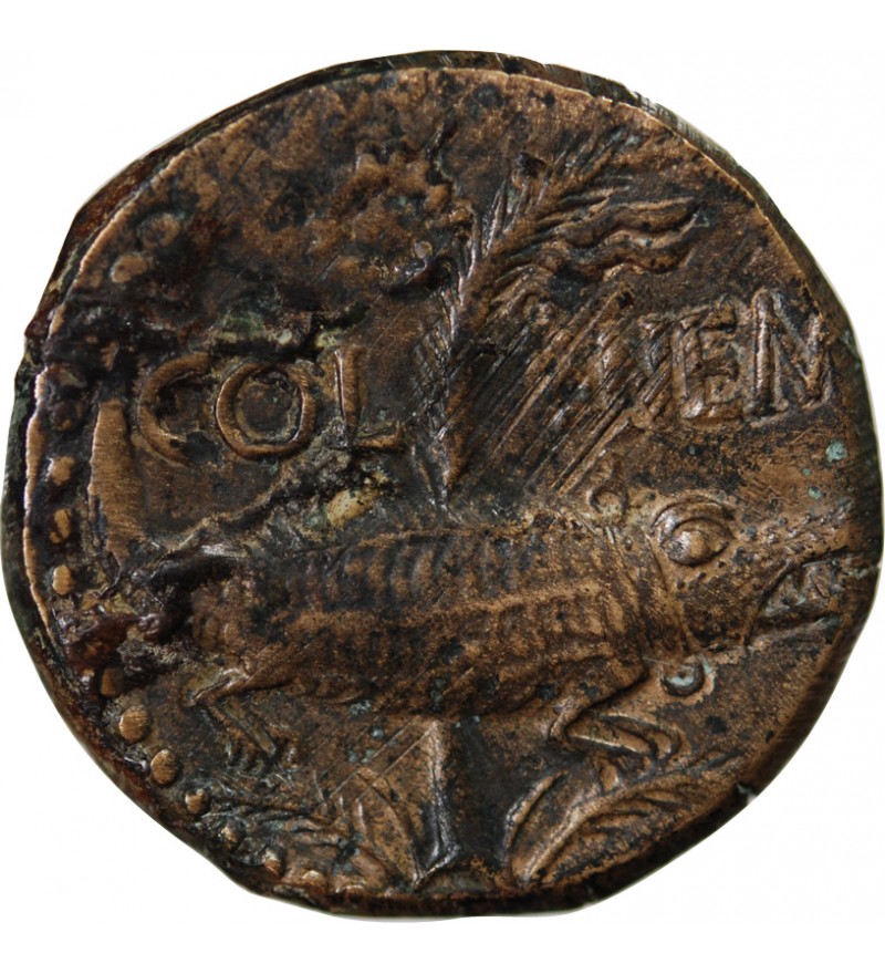 NEMAUSUS, NIMES, AUGUSTE ET AGRIPPA - DUPONDIUS vers 10 AV JC