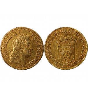 LOUIS XIV - 1/2 LOUIS D'OR A l'ECU 1690 A PARIS 2