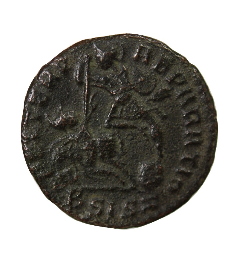 CONSTANCE II - MAIORINA 350 SISCIA