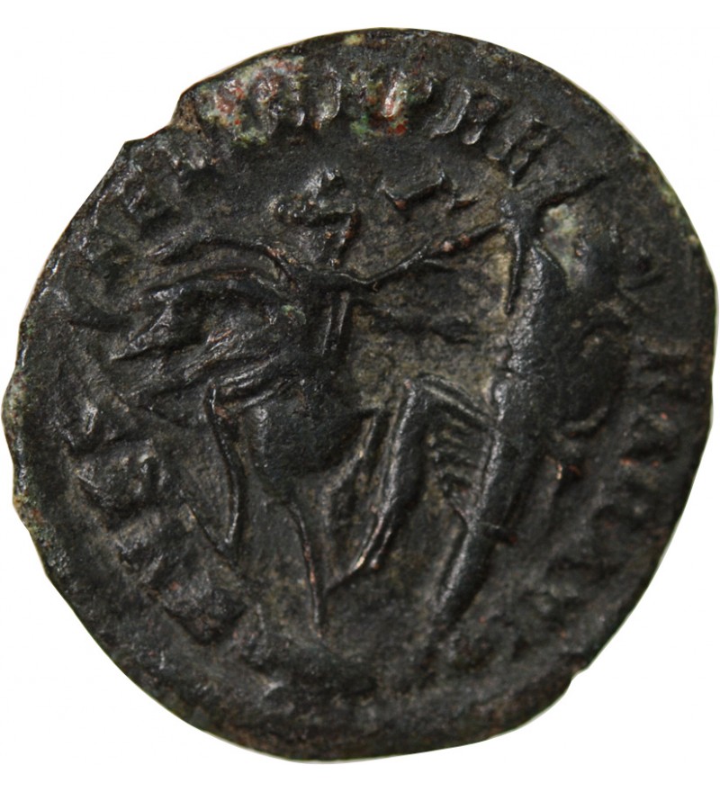 CONSTANCE II - MAIORINA 351 / 355 CYZIQUE