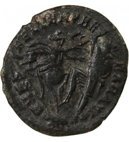 CONSTANCE II - MAIORINA 351 / 355 CYZIQUE